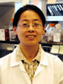 Xu